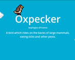 Games like Oxpecker