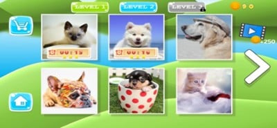 Puzzle Pets Dogs Cats Game Image