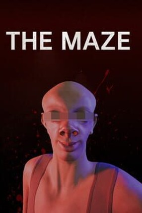 The Maze Image