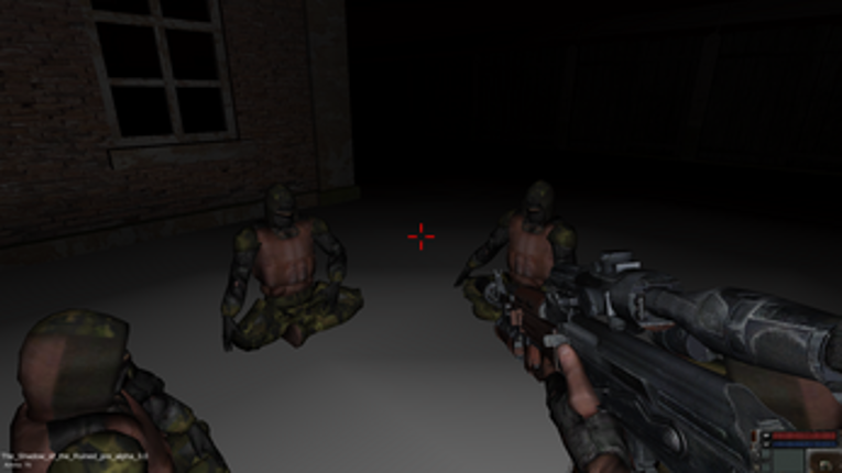 The Shadow of the Ruined Image