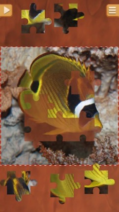 Cool Fish Jigsaw Puzzles - Fun Logical Games screenshot