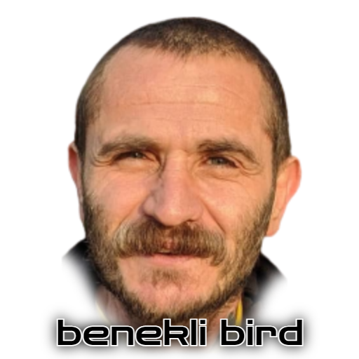 Games like Benekli Bird