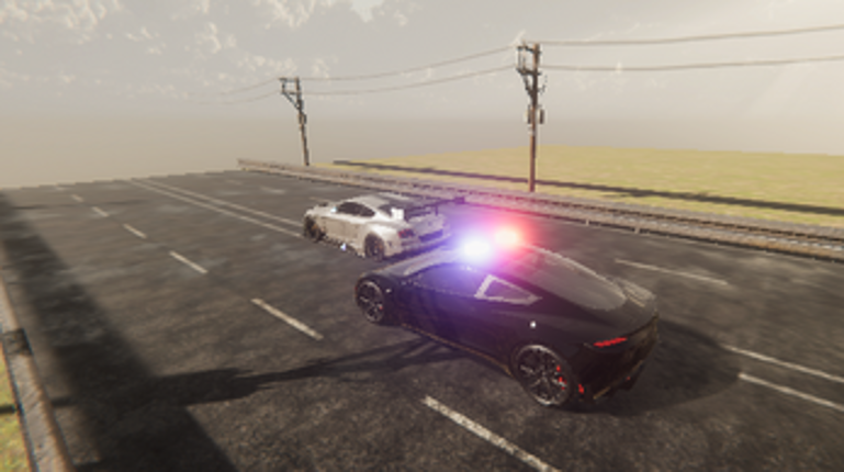 Police Race Image