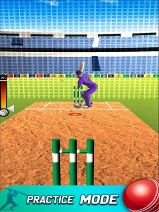 Play Live Cricket Game screenshot