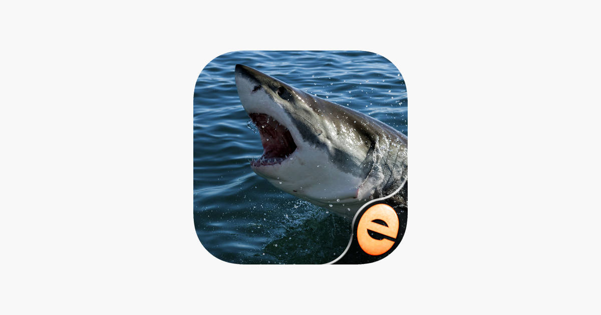 Games like Shark Puzzles for Kids Free Jigsaw Wonder Collection