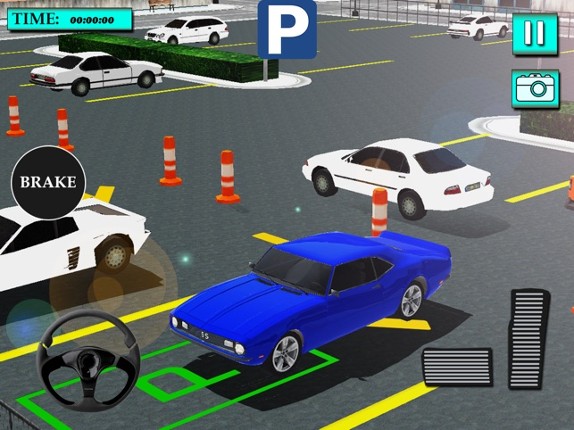 Valet Car Parking Games screenshot