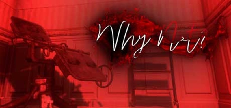 Why Not? Image