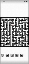 Exit Classic Maze Labyrinth Image