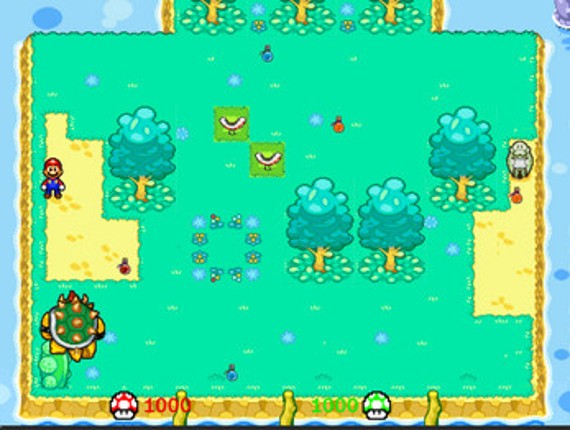 Mario Arena Image