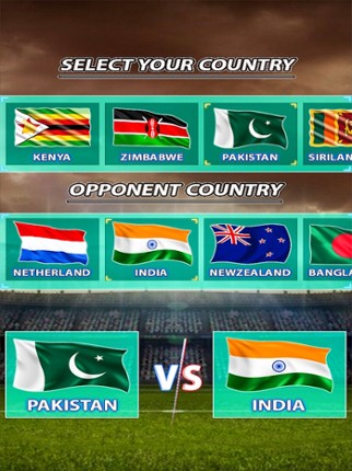 Play Live Cricket Game screenshot