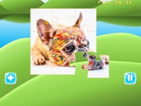 Puzzle Pets Dogs Cats Game Image