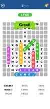 Word Search - Fun Word Puzzle Image