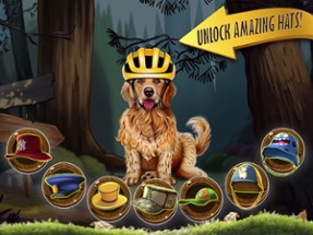 Zoro Pet Dog Race Image