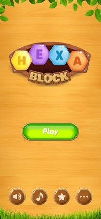 Block Puzzle - Hexa screenshot