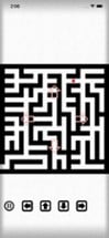 Exit Classic Maze Labyrinth Image