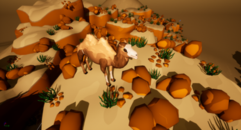 Camel Rider Image