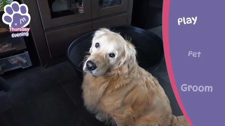 Golden Retriever Simple Life screenshot