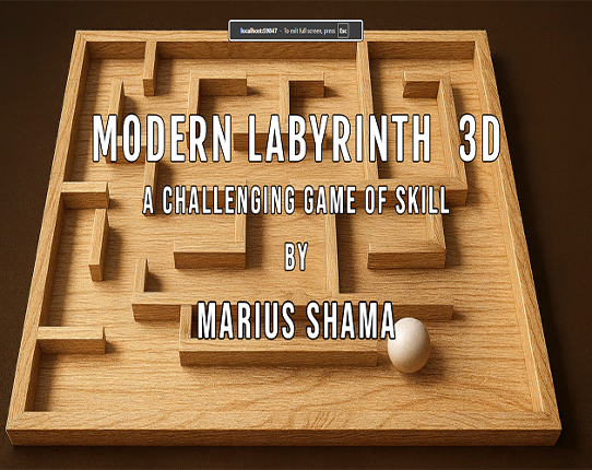 MODERN LABYRINTH 3D Image