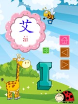 Reading Chinese Alphabet Book Image