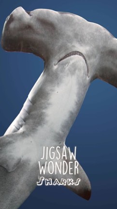 Shark Puzzles for Kids Free Jigsaw Wonder Collection screenshot