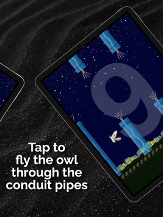 Wise Flyer Image