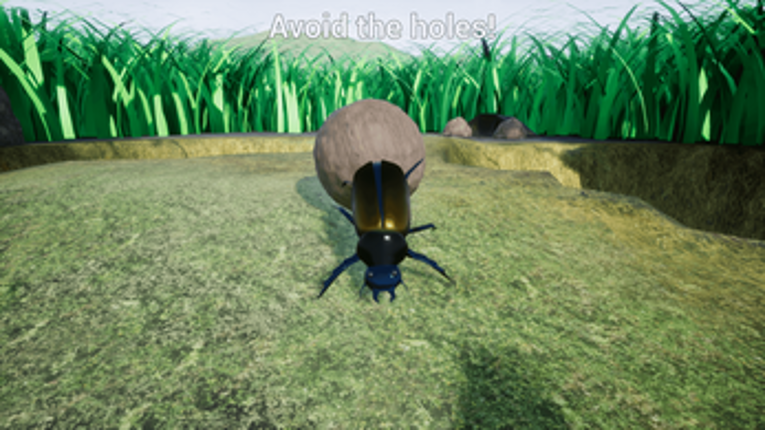 Dung Beetle screenshot