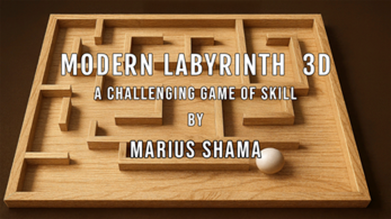 MODERN LABYRINTH 3D Image