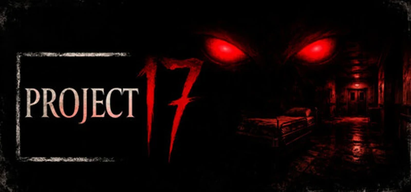 Project 17 Image