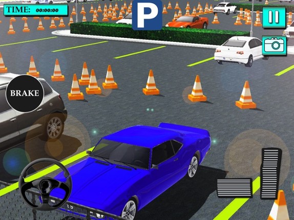 Valet Car Parking Games screenshot
