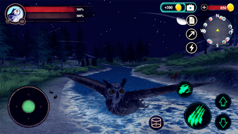 The Owl screenshot
