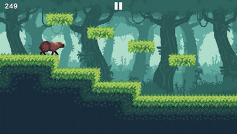 Capybara Run-Jump Image