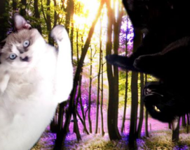 Gay Cats Go to the Weird Weird Woods Image