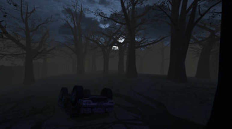 The Forest Image