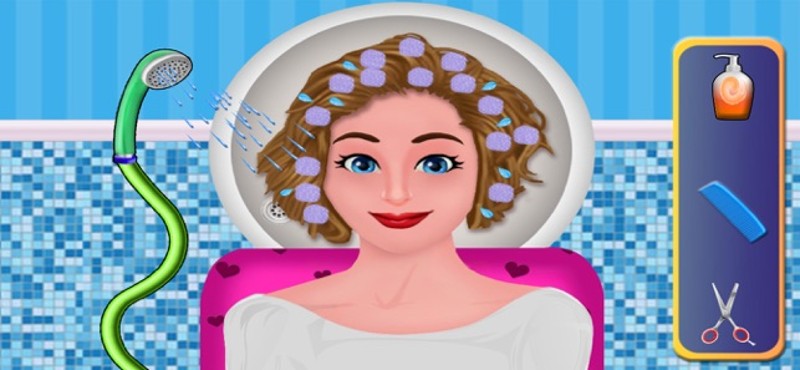 Princess Braided hairstyle Image