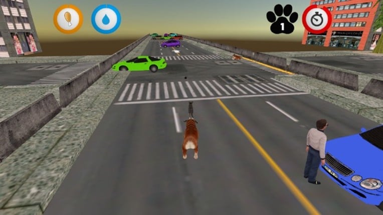 Real Cat Simulator screenshot