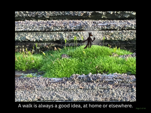 Wanderwolves Image