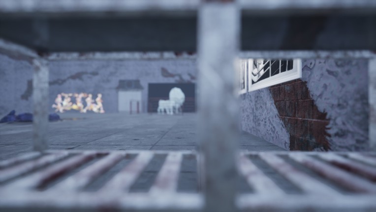 Animal Gaze on-XR Image