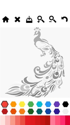 Enchanted Forest Coloring Book Image