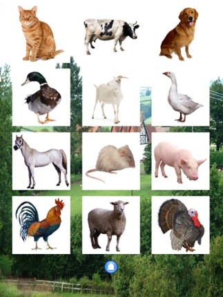 Farm animals... screenshot