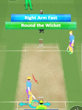 Play Live Cricket Game screenshot