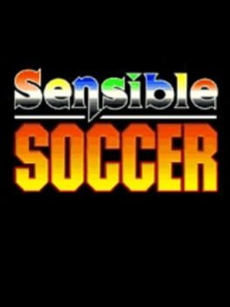 Sensible Soccer Image