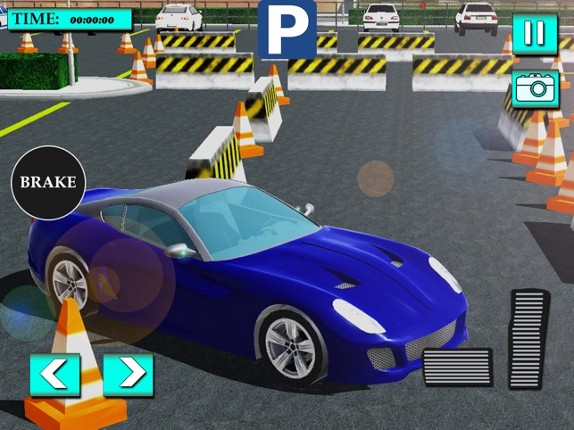 Valet Car Parking Games screenshot