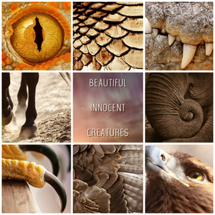 Calico Thunder Rides Again screenshot