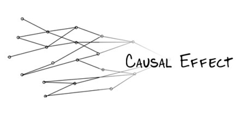 Causal Effect Image