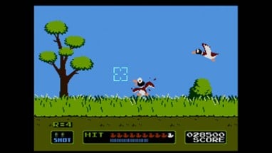 Duck Hunt Image