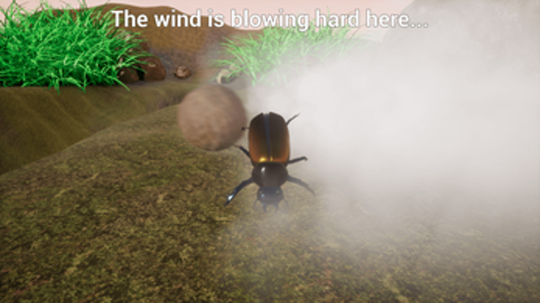 Dung Beetle screenshot