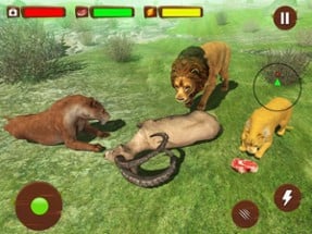 Ultimate Wild Lion Simulator Image