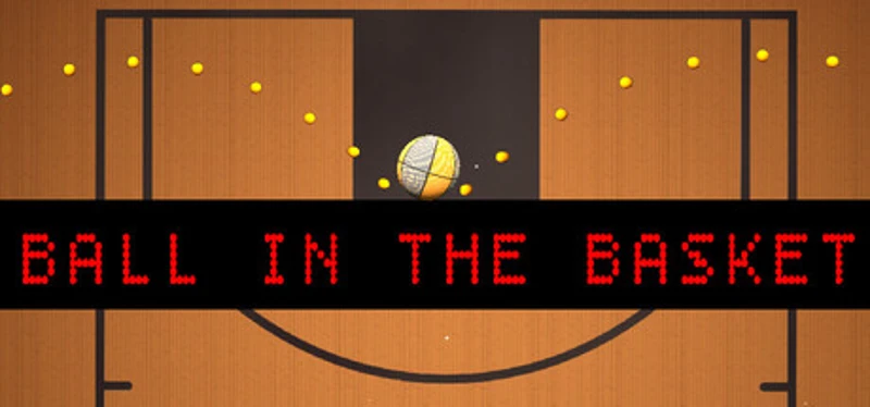 Ball in the Basket Image