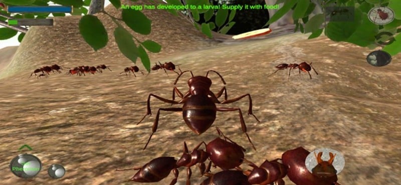 Ant Simulation 3D Image