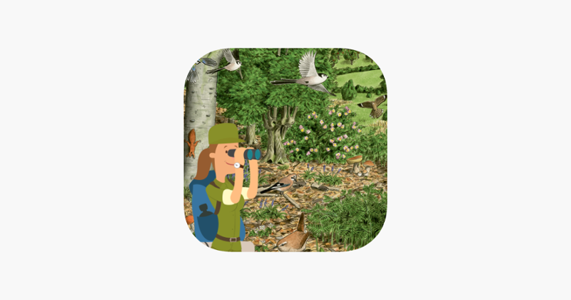 Forêt écosystème Image